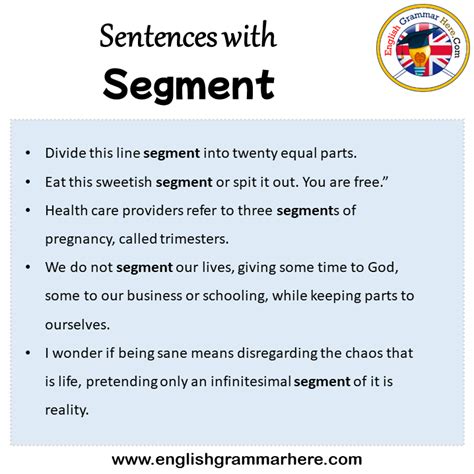 segment in English .